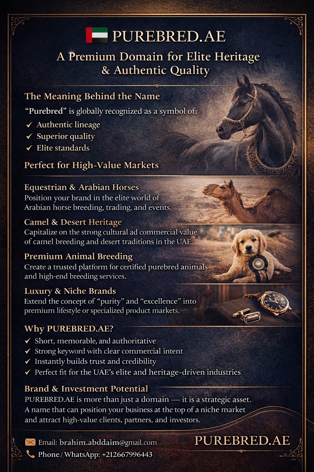 chatgpt image mar 23, 2026, 09 54 27 am